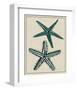 Coastal Starfish I-Vision Studio-Framed Art Print