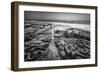 Coastal Texture Along the La Jolla Coastline-Andrew Shoemaker-Framed Photographic Print