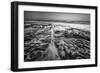 Coastal Texture Along the La Jolla Coastline-Andrew Shoemaker-Framed Photographic Print