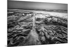 Coastal Texture Along the La Jolla Coastline-Andrew Shoemaker-Mounted Photographic Print