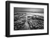 Coastal Texture Along the La Jolla Coastline-Andrew Shoemaker-Framed Photographic Print