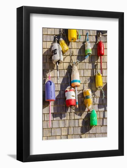 Coastal Trappings II-Laura DeNardo-Framed Photographic Print