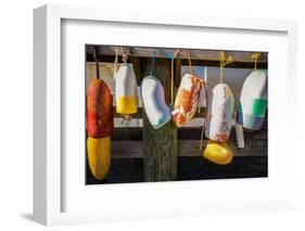 Coastal Trappings III-Laura DeNardo-Framed Photographic Print