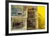 Coastal Trappings IV-Laura DeNardo-Framed Photographic Print