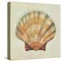 Coastal Treasures I-Josefina-Stretched Canvas