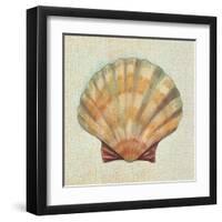 Coastal Treasures I-Josefina-Framed Art Print