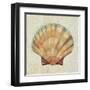 Coastal Treasures I-Josefina-Framed Art Print