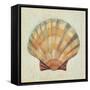 Coastal Treasures I-Josefina-Framed Stretched Canvas