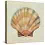 Coastal Treasures I-Josefina-Stretched Canvas