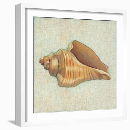 Coastal Treasures II-Josefina-Framed Art Print