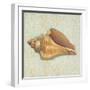 Coastal Treasures II-Josefina-Framed Art Print