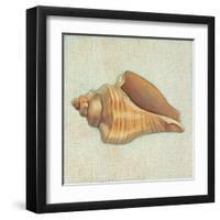 Coastal Treasures II-Josefina-Framed Art Print