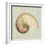 Coastal Treasures III-Josefina-Framed Art Print