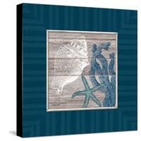 Coastal Treasures-Sam Appleman-Stretched Canvas