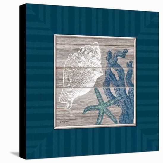 Coastal Treasures-Sam Appleman-Stretched Canvas