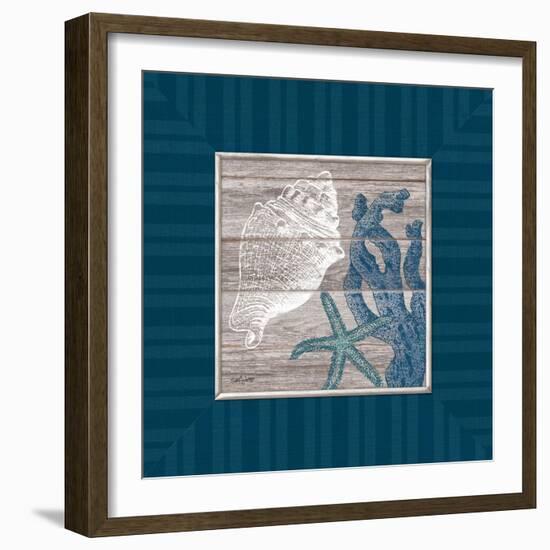 Coastal Treasures-Sam Appleman-Framed Art Print