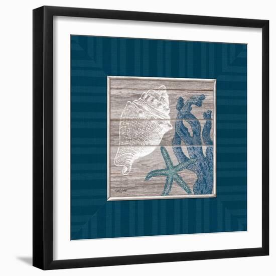 Coastal Treasures-Sam Appleman-Framed Art Print