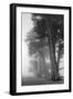 Coastal Trees-Vincent James-Framed Photographic Print