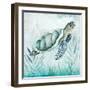 Coastal Turtle I-Janet Tava-Framed Art Print