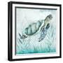 Coastal Turtle I-Janet Tava-Framed Art Print