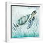 Coastal Turtle I-Janet Tava-Framed Art Print