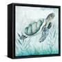 Coastal Turtle I-Janet Tava-Framed Stretched Canvas