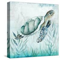 Coastal Turtle I-Janet Tava-Stretched Canvas