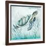 Coastal Turtle I-Janet Tava-Framed Art Print