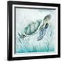 Coastal Turtle I-Janet Tava-Framed Art Print