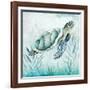 Coastal Turtle I-Janet Tava-Framed Art Print