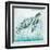 Coastal Turtle I-Janet Tava-Framed Art Print