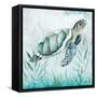 Coastal Turtle I-Janet Tava-Framed Stretched Canvas