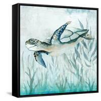 Coastal Turtle II-Janet Tava-Framed Stretched Canvas