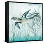 Coastal Turtle II-Janet Tava-Framed Stretched Canvas