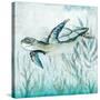 Coastal Turtle II-Janet Tava-Stretched Canvas