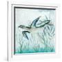 Coastal Turtle II-Janet Tava-Framed Art Print