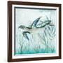 Coastal Turtle II-Janet Tava-Framed Art Print