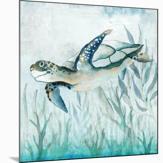 Coastal Turtle II-Janet Tava-Mounted Art Print