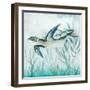 Coastal Turtle II-Janet Tava-Framed Art Print