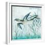 Coastal Turtle II-Janet Tava-Framed Art Print