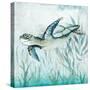 Coastal Turtle II-Janet Tava-Stretched Canvas