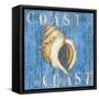 Coastal USA Conch-Paul Brent-Framed Stretched Canvas