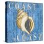 Coastal USA Conch-Paul Brent-Stretched Canvas