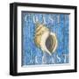 Coastal USA Conch-Paul Brent-Framed Art Print