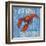 Coastal USA Lobster-Paul Brent-Framed Art Print