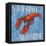 Coastal USA Lobster-Paul Brent-Framed Stretched Canvas