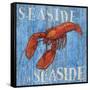 Coastal USA Lobster-Paul Brent-Framed Stretched Canvas