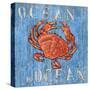 Coastal USA Red Crab-Paul Brent-Stretched Canvas