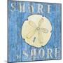 Coastal USA Sand Dollar-Paul Brent-Mounted Premium Giclee Print