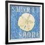 Coastal USA Sand Dollar-Paul Brent-Framed Art Print